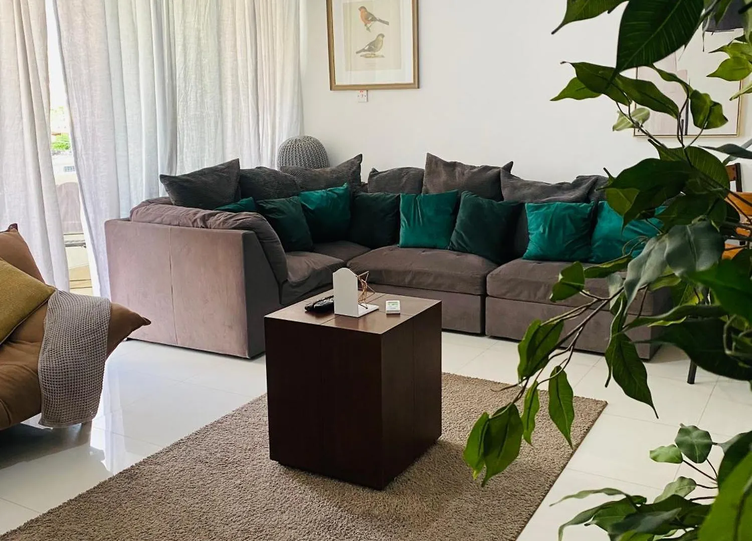 Metcalfe Two Bedroom Suite キングストン アパート