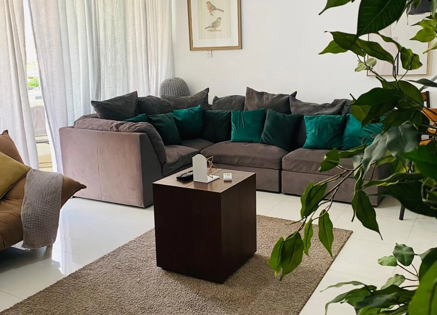Metcalfe Two Bedroom Suite Kingston